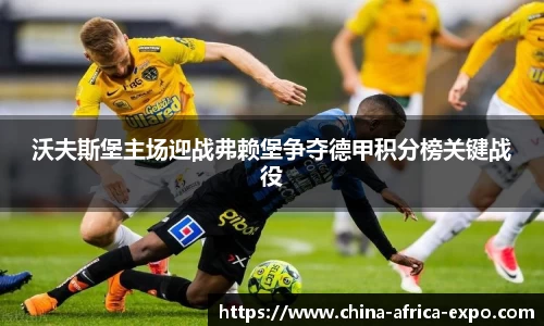 熊猫体育沃夫斯堡主场迎战弗赖堡争夺德甲积分榜关键战役